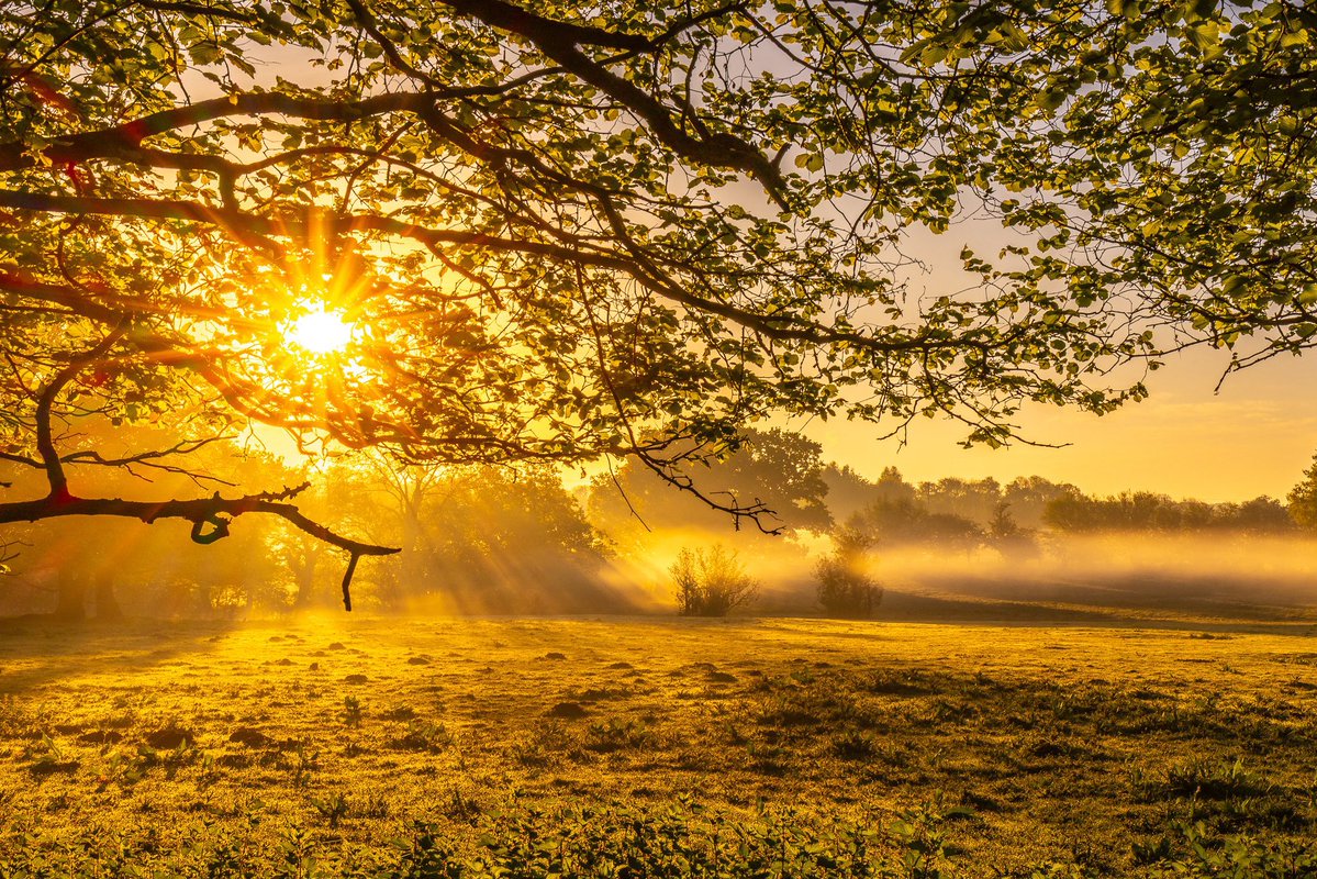 SolihullUpdates's tweet image. Good Morning #Solihull, Happy #Friday!

After a chilly start, it will be another fine and dry day with plenty of warm sunshine. Light winds. Highs of 19°C &amp;amp; Lows of 3°C

(Image: @No1GhostDog).