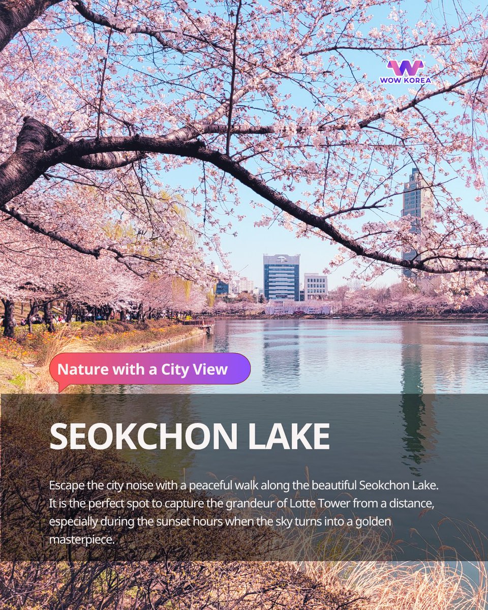 wowkos_official's tweet photo. Ultimate Jamsil Guide! 🏰✨
1️⃣ Lotte World: Magical theme park🎡
2️⃣ Aquarium: Hidden ocean in the city 🐳
3️⃣ Seoul Sky: Breathtaking city views 🏙️
4️⃣ Seokchon Lake: Perfect chill walk 🌳
Save this for your Seoul trip! 🇰🇷💖
#Seoul #Jamsil #KoreaTravel #LotteWorld #SeoulSky https://t.co/kkf0v0afyA