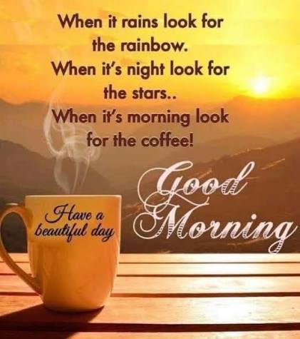 frenky van gelden pattiwaël tweet media