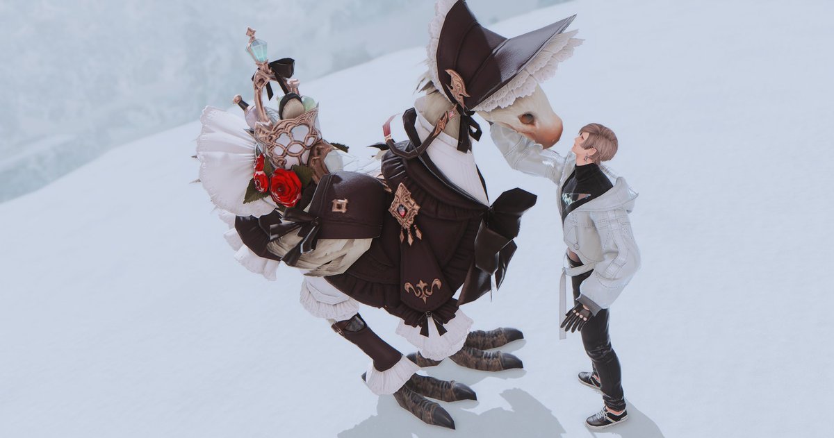 멍뭉개 tweet media