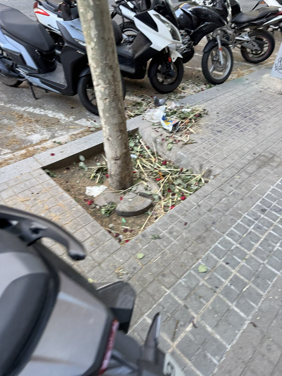 això hauria de ser il·legal. si no heu venut totes les roses, regaleu-la a la gent que hi hagi a ultima hora. us ho juro, els donareu una alegria ben gran.

i no parlem d’un carrer poc transitat, parlem davant de la parada de metro diagonal