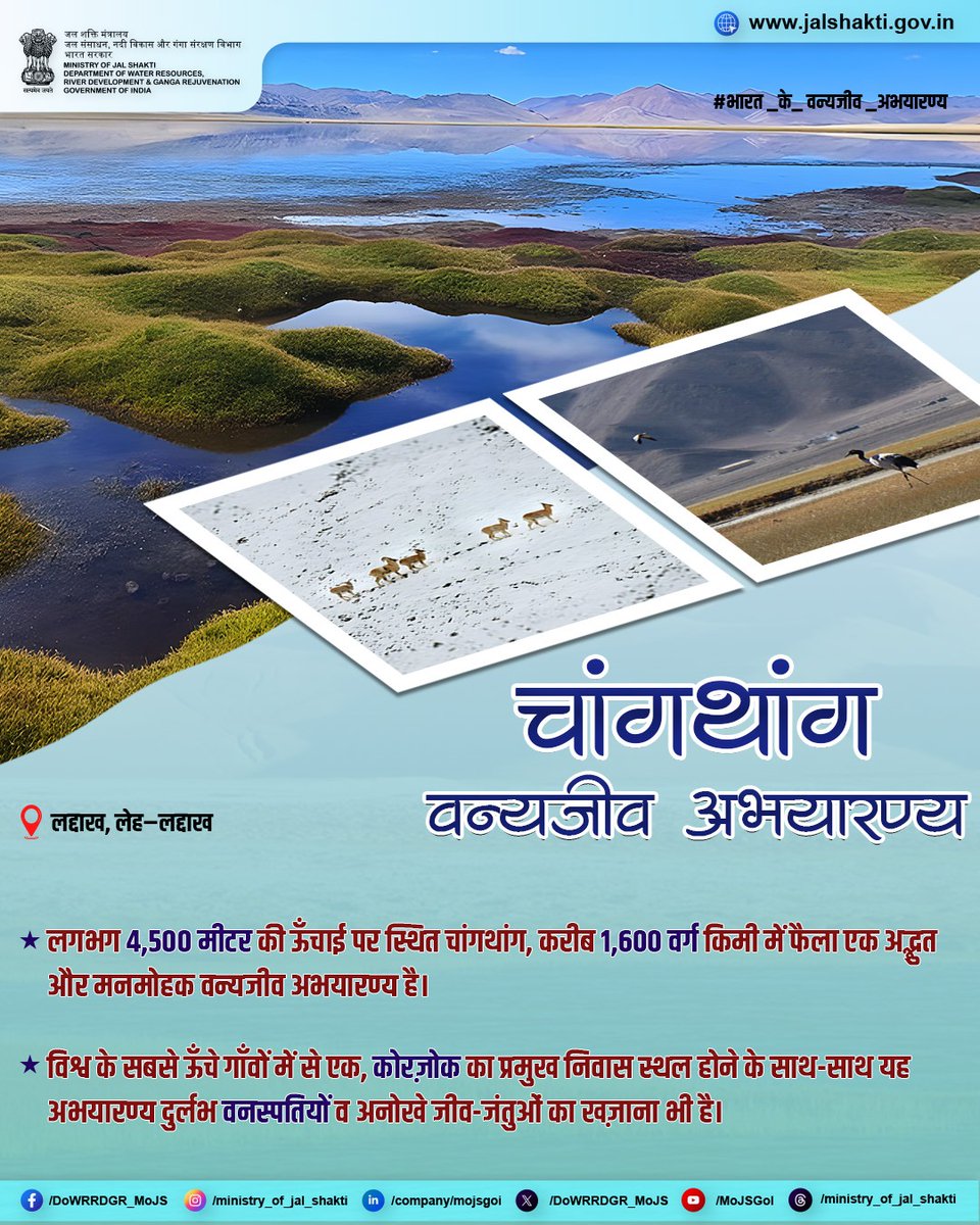 समुद्र तल से लगभग 4,500 मीटर की ऊँचाई पर स्थित चांगथांग वन्यजीव अभयारण्य प्रकृति का एक अद्भुत और अलौकिक संसार है, जहाँ त्सो मोरीरी जैसी दुर्लभ पर्वतीय झील इस क्षेत्र की शोभा बढ़ाती है। लद्दाख की अनछुई सुंदरता को जीवंत करने वाले इस अभयारण्य में दुर्लभ वनस्पतियाँ और विशिष्ट