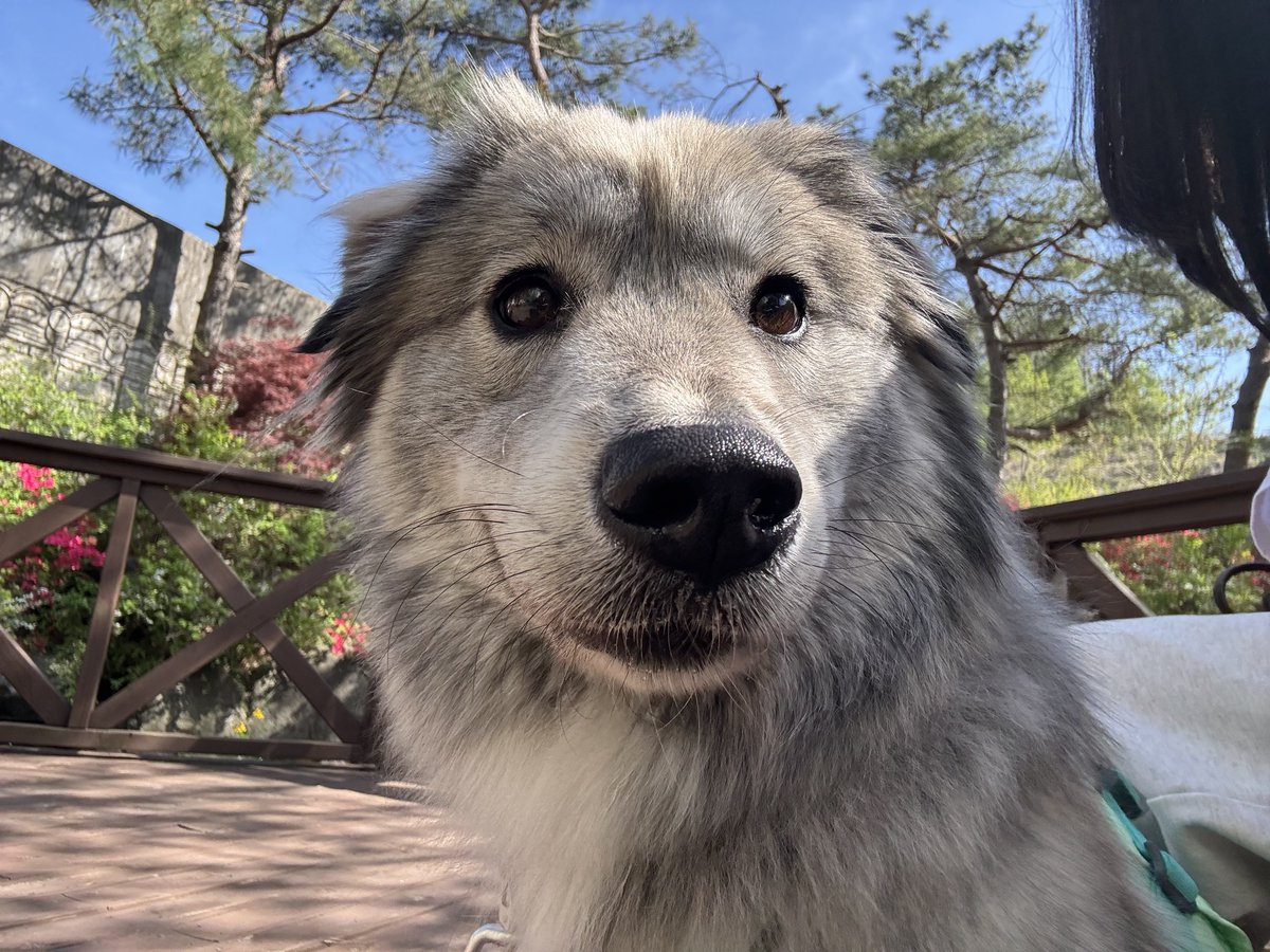 약밥이 tweet media