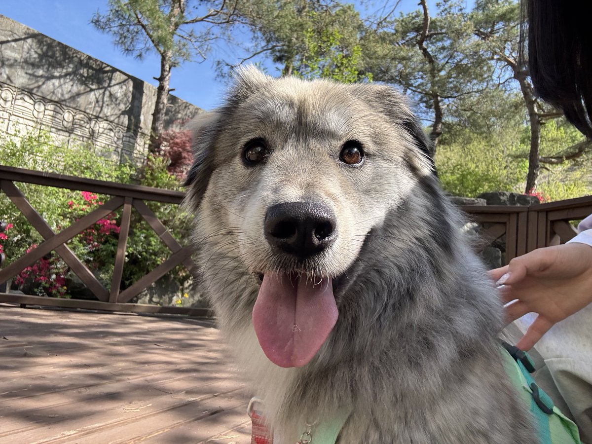 김치 넘 용감해요