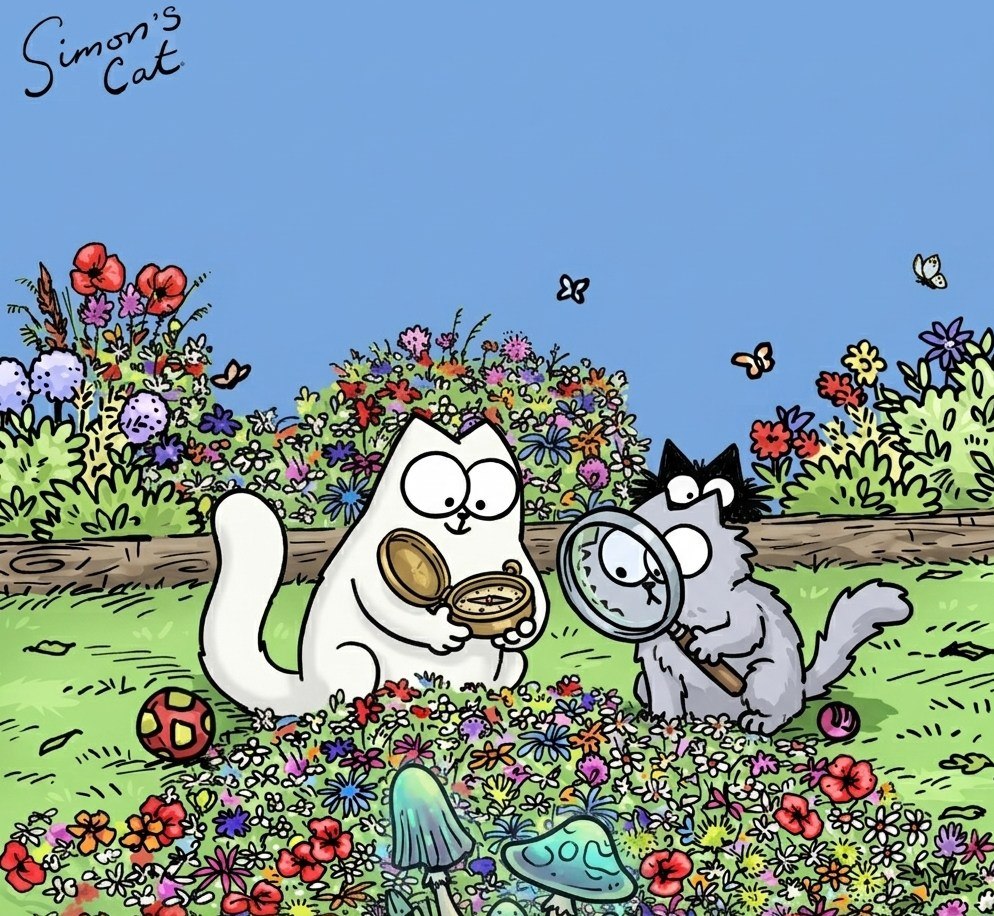 Simon's Cat Token tweet media