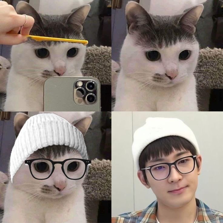 saanvi 🎐 tweet media