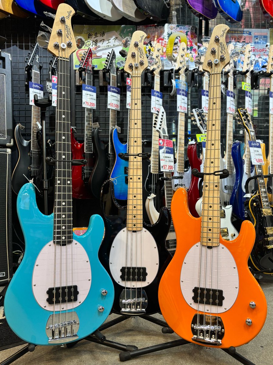 bbsapporock's tweet image. 【#Sterling SUB RAY2】のご紹介です✨

RAYシリーズには珍しい電池の要らないパッシブ💥

仕様もボリュームとトーンのみの超シンプル‼️
初めての一本やハムバッカータイプが気になってる方の一本目にもオススメです💁

サウンドもまさにスティングレイを想像させます 💪

#BIGBOSS札幌