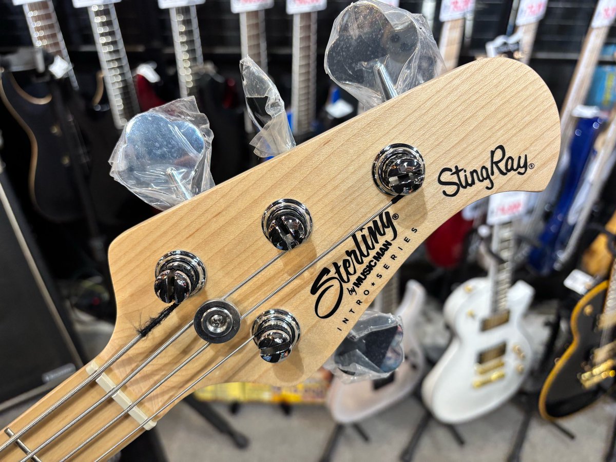 bbsapporock's tweet image. 【#Sterling SUB RAY2】のご紹介です✨

RAYシリーズには珍しい電池の要らないパッシブ💥

仕様もボリュームとトーンのみの超シンプル‼️
初めての一本やハムバッカータイプが気になってる方の一本目にもオススメです💁

サウンドもまさにスティングレイを想像させます 💪

#BIGBOSS札幌