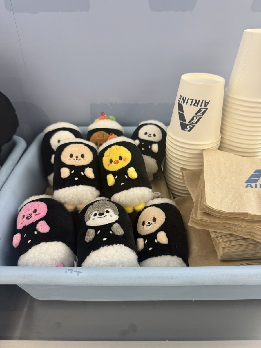 #StrayKids #스트레이키즈
#SKZOO_EVERYWHERE_ALL_AROUND_THE_WORLD_in_Seoul_POPUP
#SKZ_POPUP
#FANS_SHOP #팬즈샵
#YouMakeStrayKidsStay