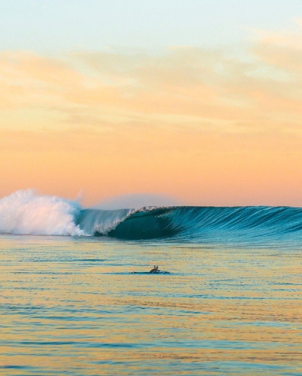 HeavenOnEarth tweet media