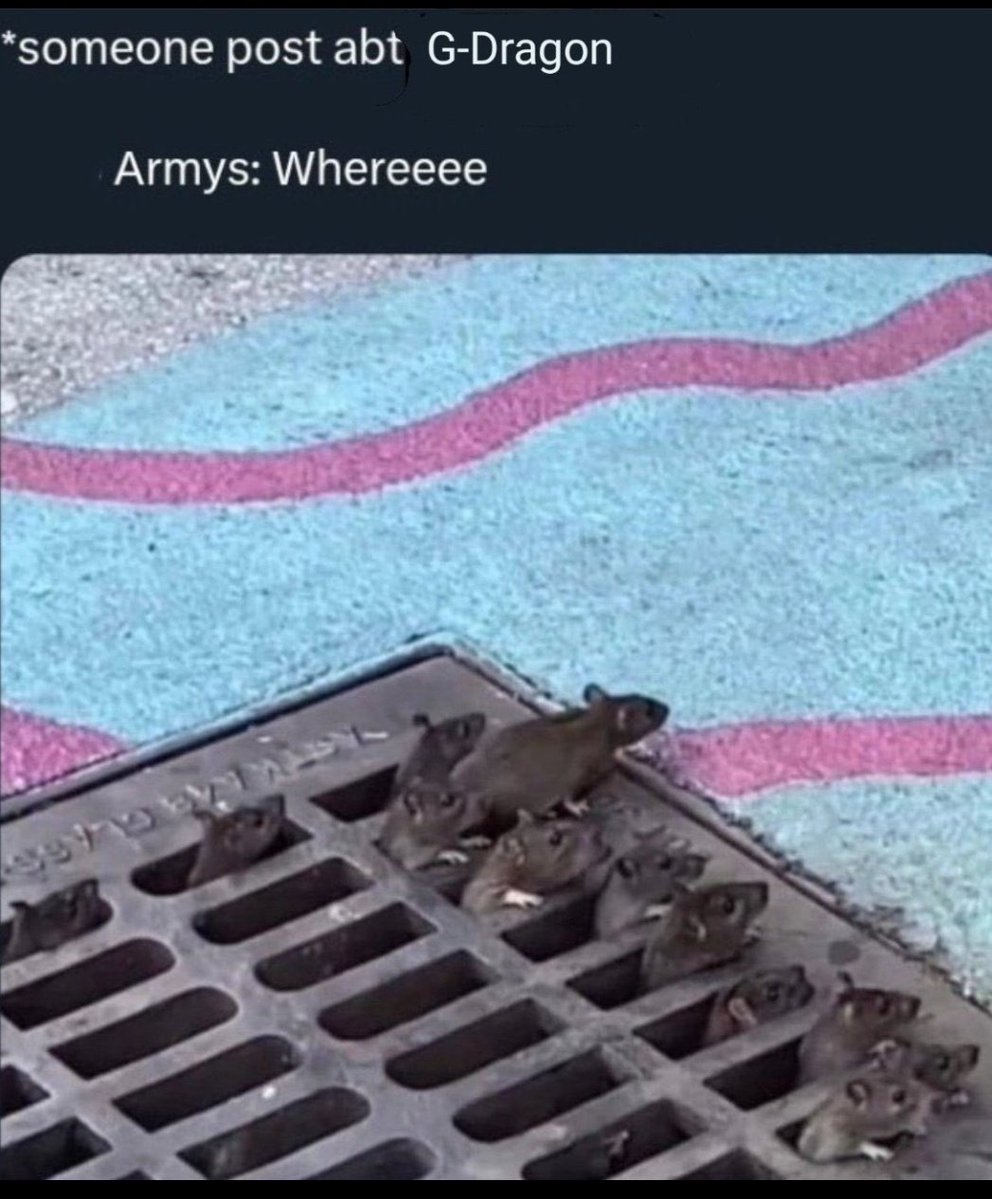 gdₛₜₐₙ tweet media