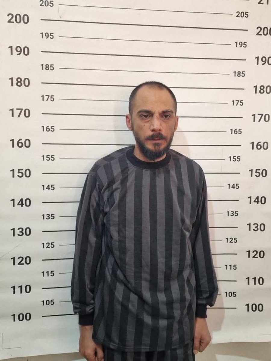 ديما الملا tweet media