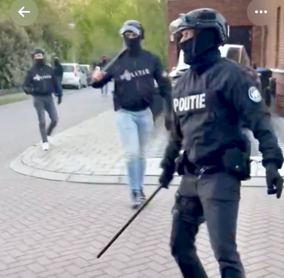 Kingfisher voorheen Luc tweet media