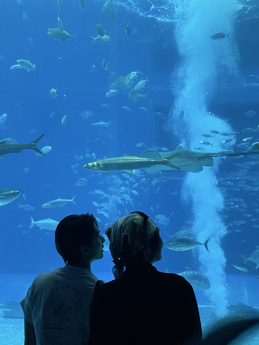 mami มามิ tweet media