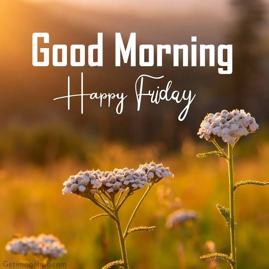 frenky van gelden pattiwaël tweet media