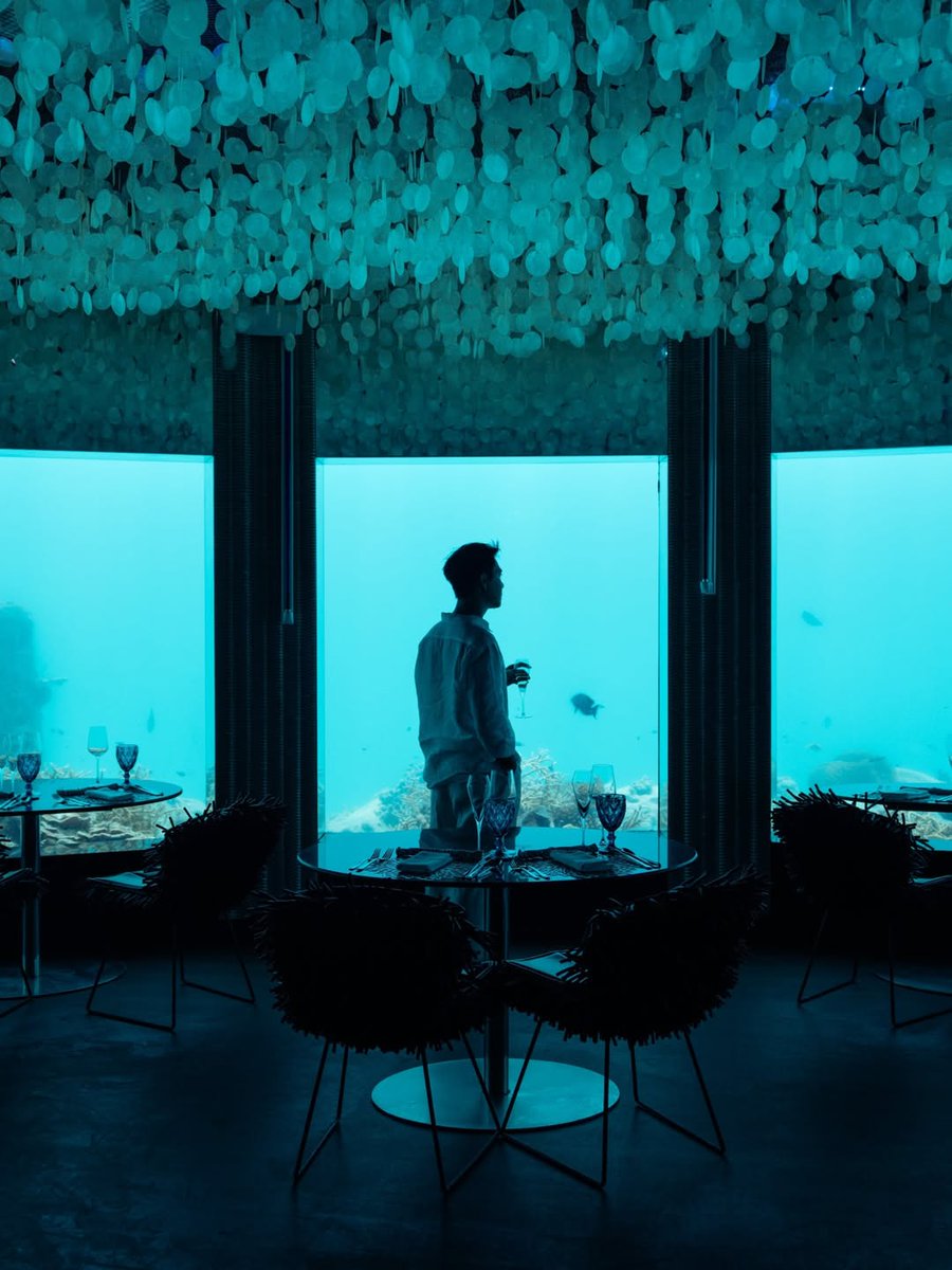 visitmaldives's tweet image. Dining beneath the ocean 🌊🍽️✨ where reef life drifts past your table and every bite comes with a view like no other. Experience the Maldives’ underwater magic.

📷📍: @niyamamaldives

#VisitMaldives #Maldives #UnderwaterRestaurant #LuxuryDining #TravelDreams