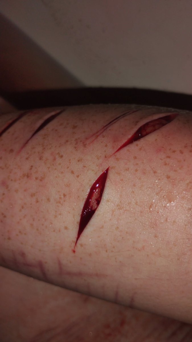 👾 of ✨shtwt✨ tweet media