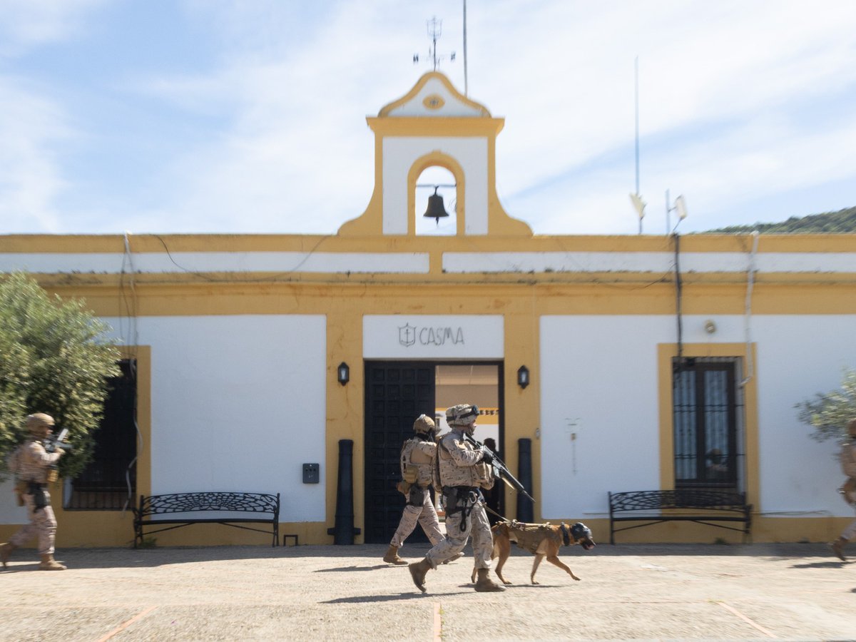 Ministerio Defensa tweet media