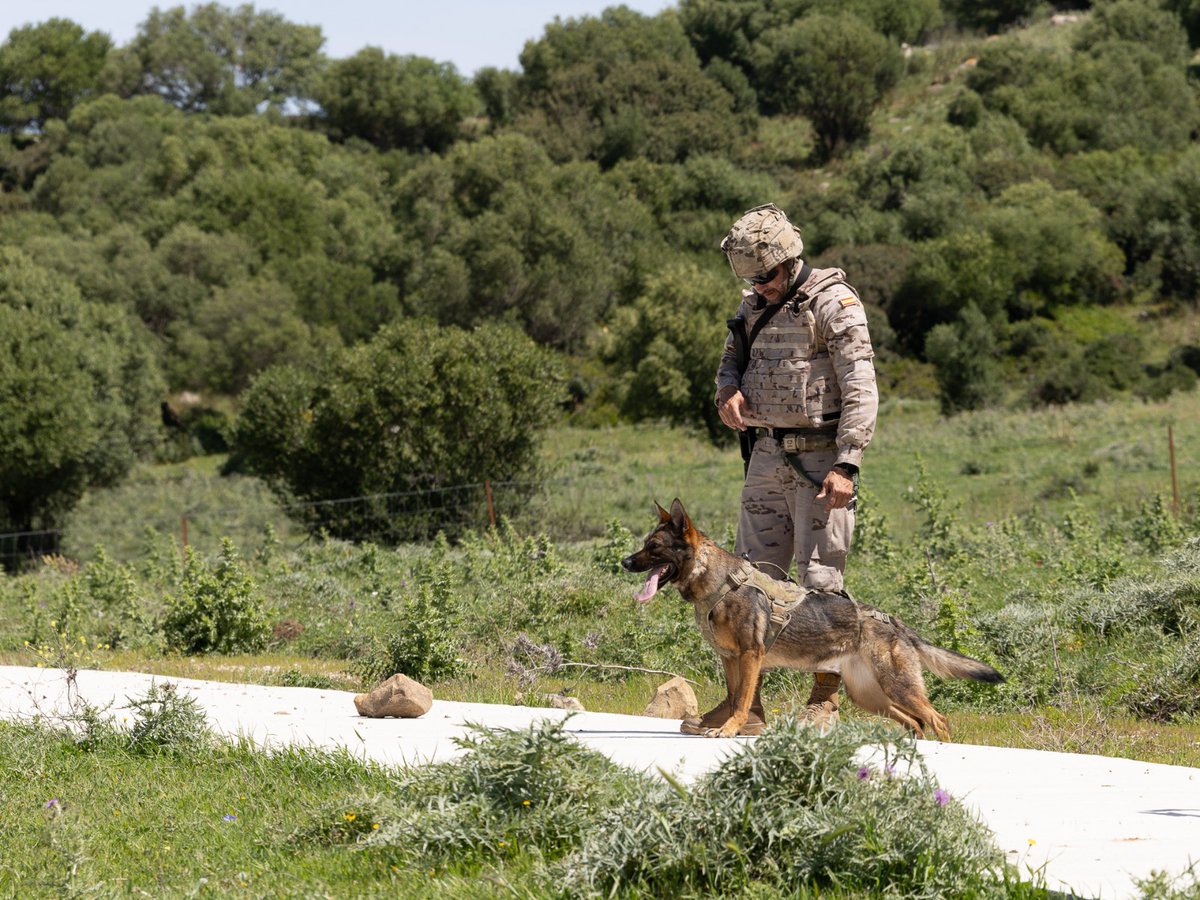 Ministerio Defensa tweet media