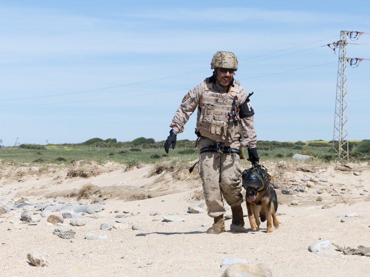 Ministerio Defensa tweet media