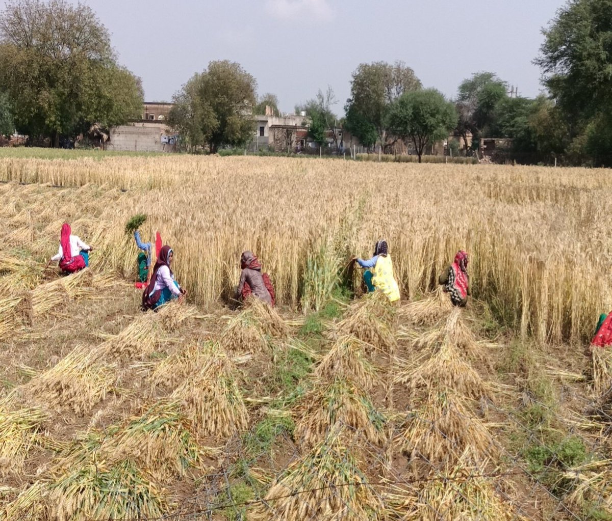 Mauryvansh Ki Beti tweet media