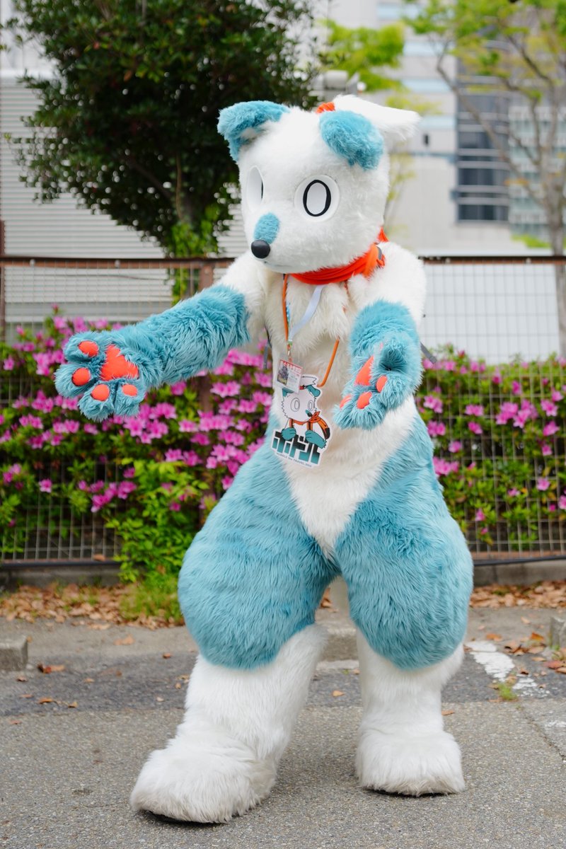 kon3_mf's tweet photo. ホドルくん
ちょんまげかわいい
#関西けもケット11 https://t.co/XlTLeaq3Io