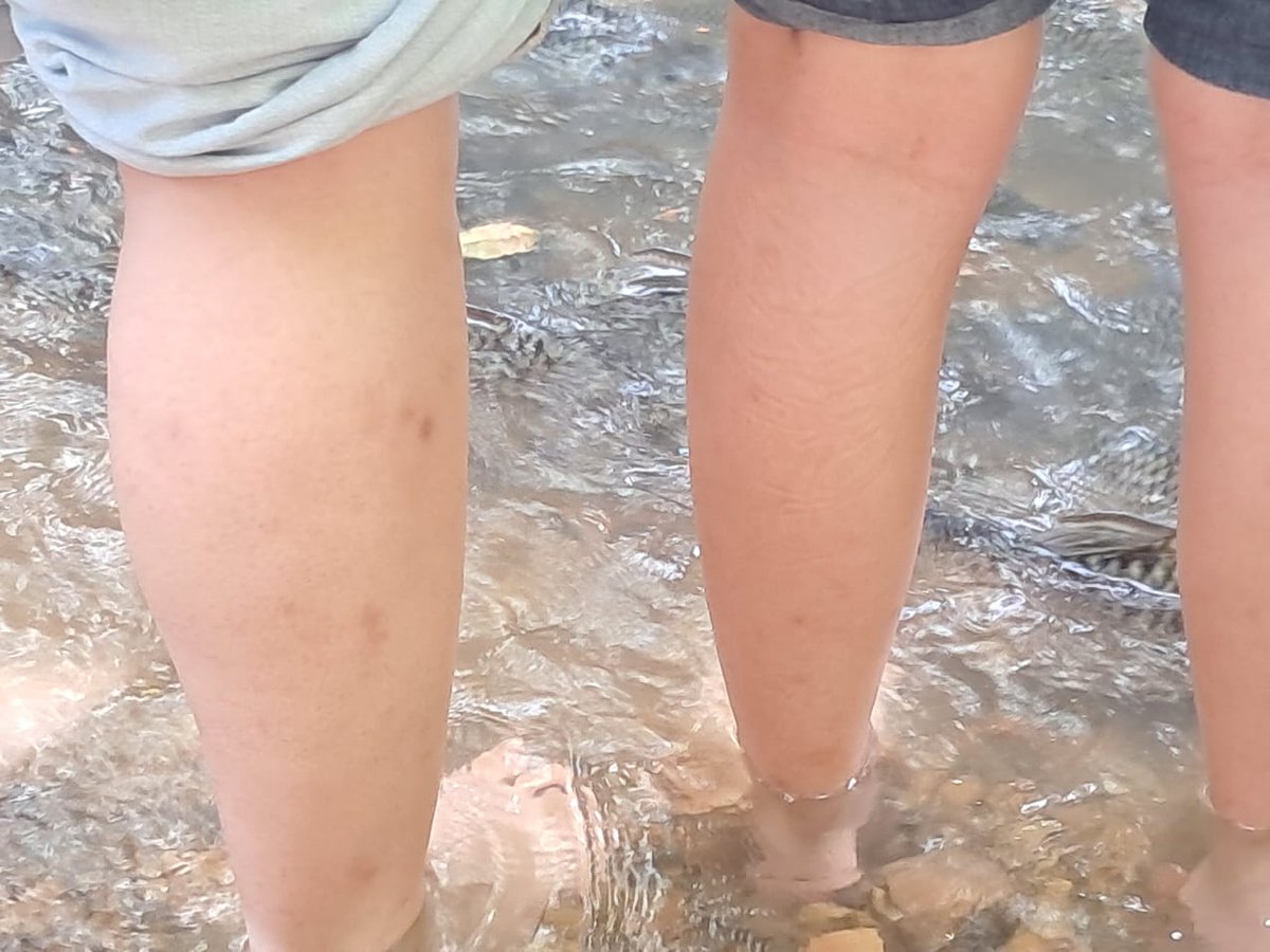 hellosnoopy tweet media