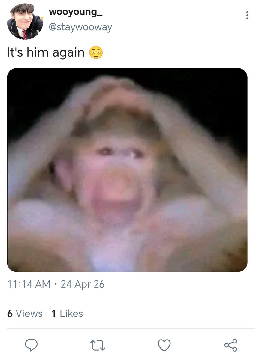 kizero tweet media