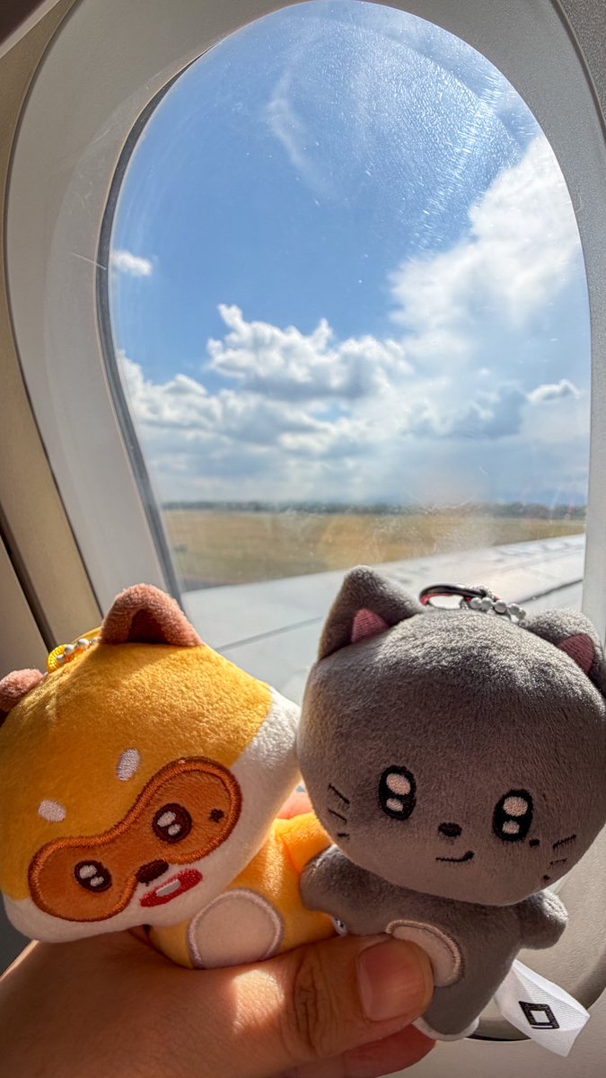 ── .✦ gin | 🤎 tweet media