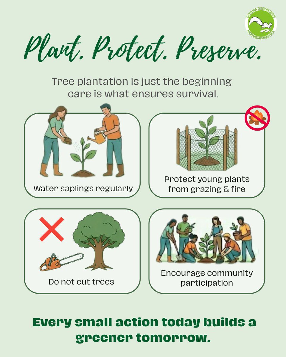 satpura_tr's tweet photo. A single tree supports countless lives—seen and unseen. 
Let’s care beyond planting, because protection is what truly sustains life. 
#nationalarborday #treesforlife #plantprotectpreserve #satpuratigerreserve https://t.co/jMujI8P6UC