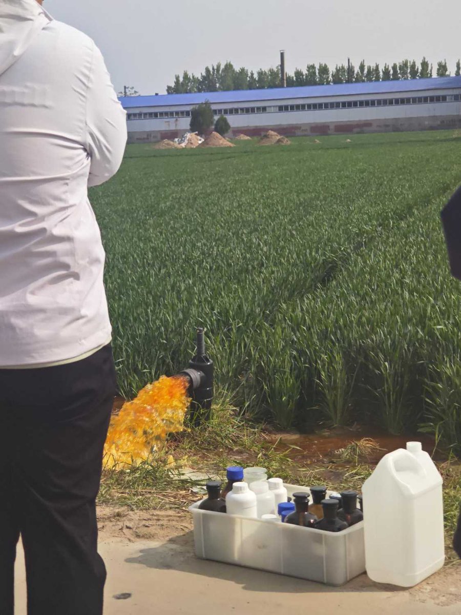 魔都老猿 tweet media