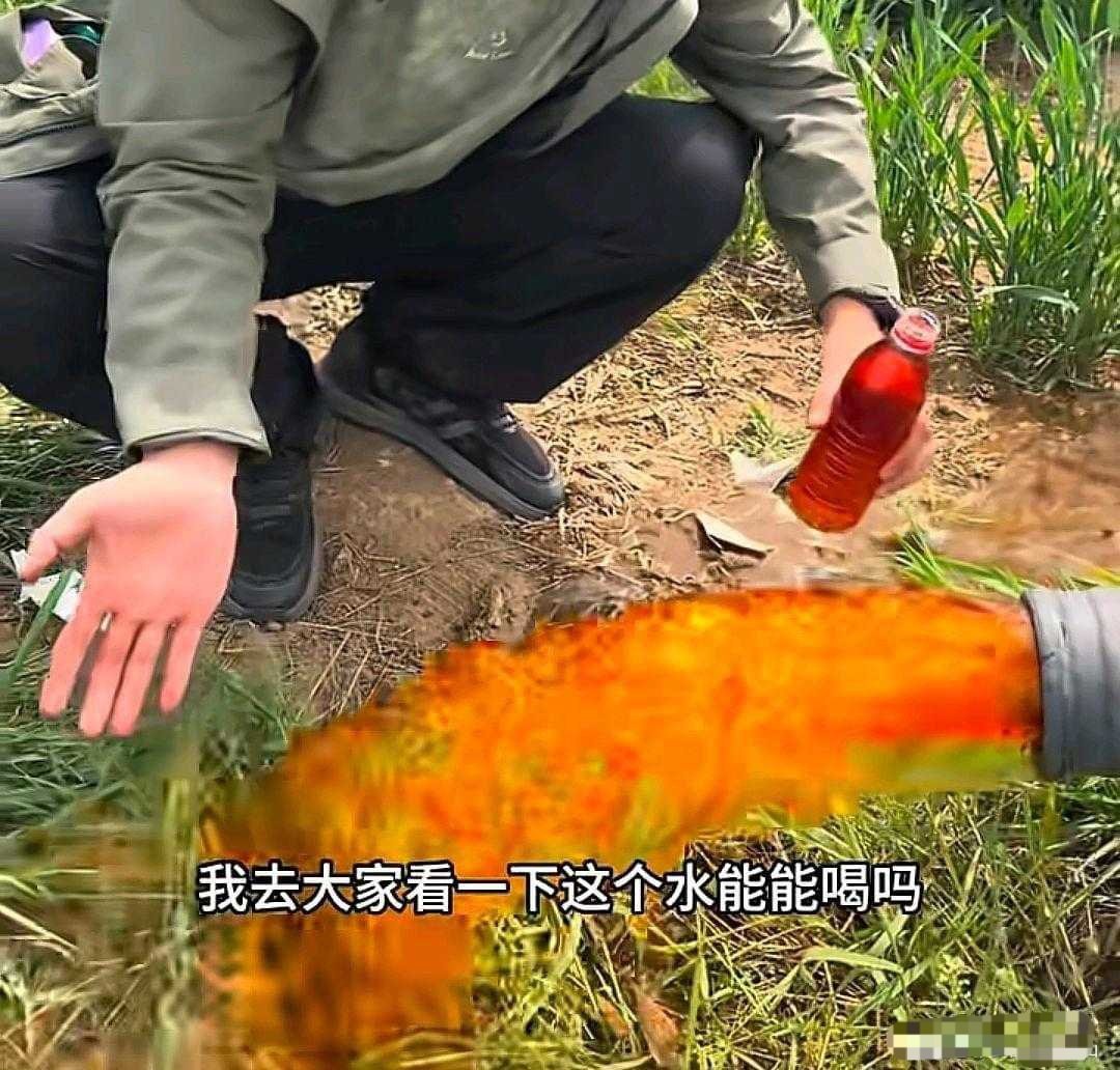 魔都老猿 tweet media