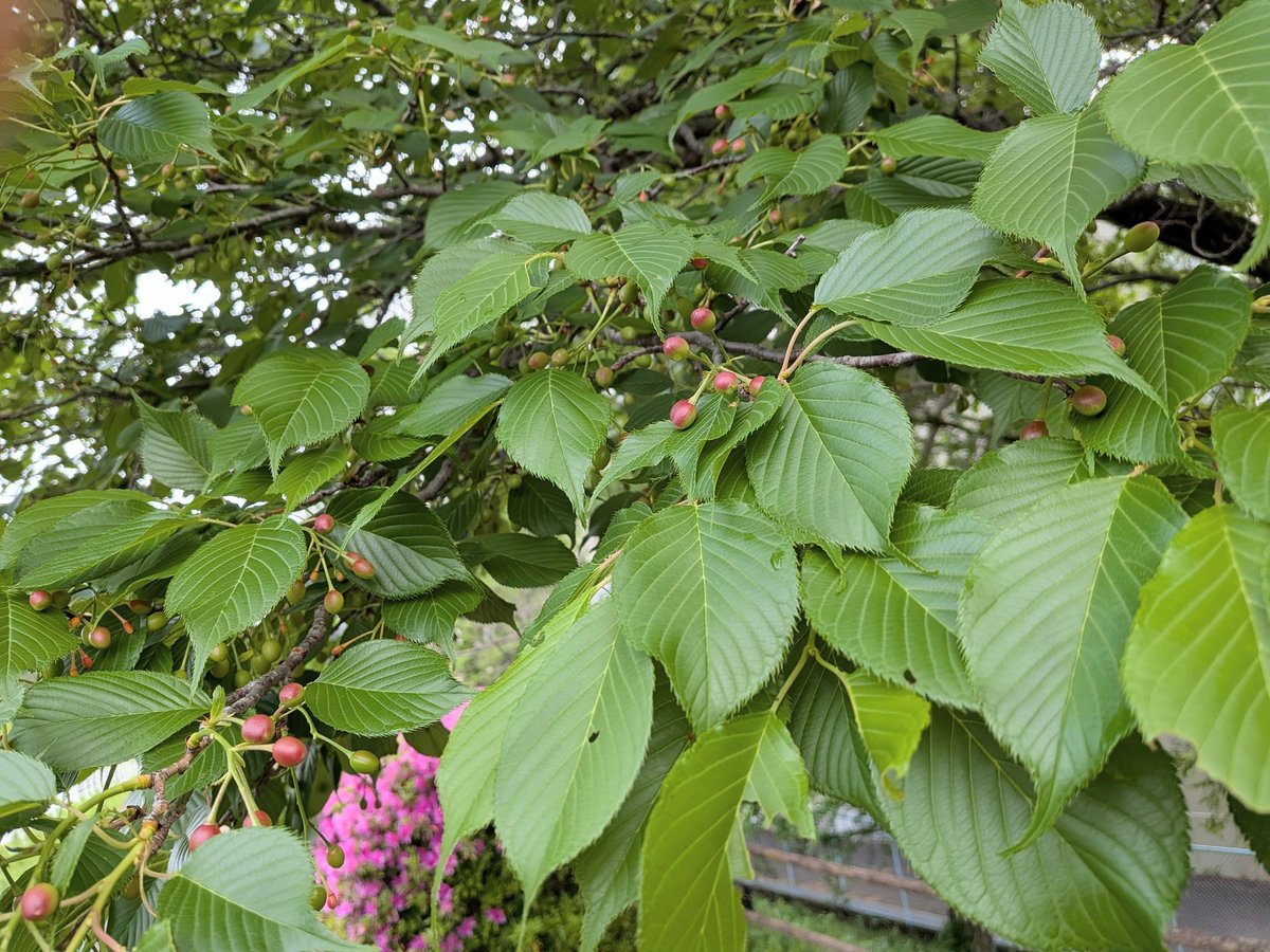 海野勝稔 tweet media