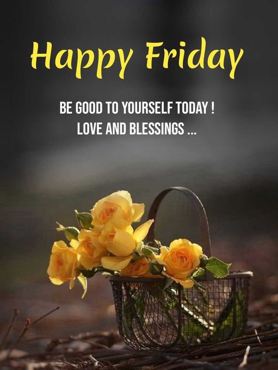 frenky van gelden pattiwaël tweet media