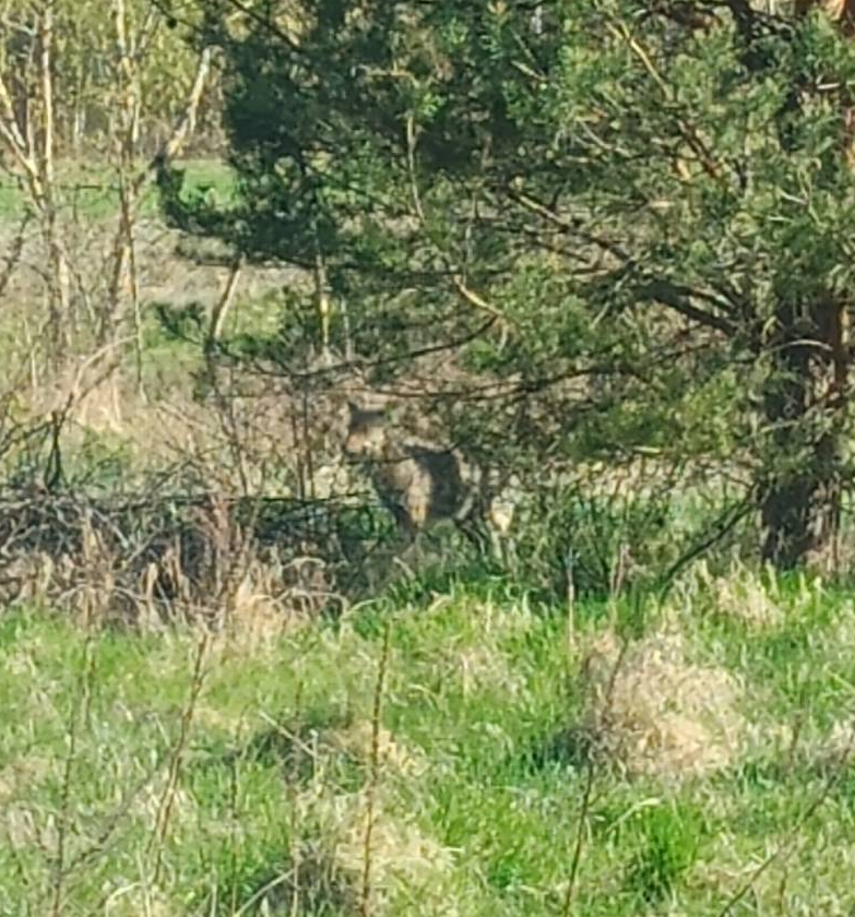 Jerzy Wasiukiewicz tweet media