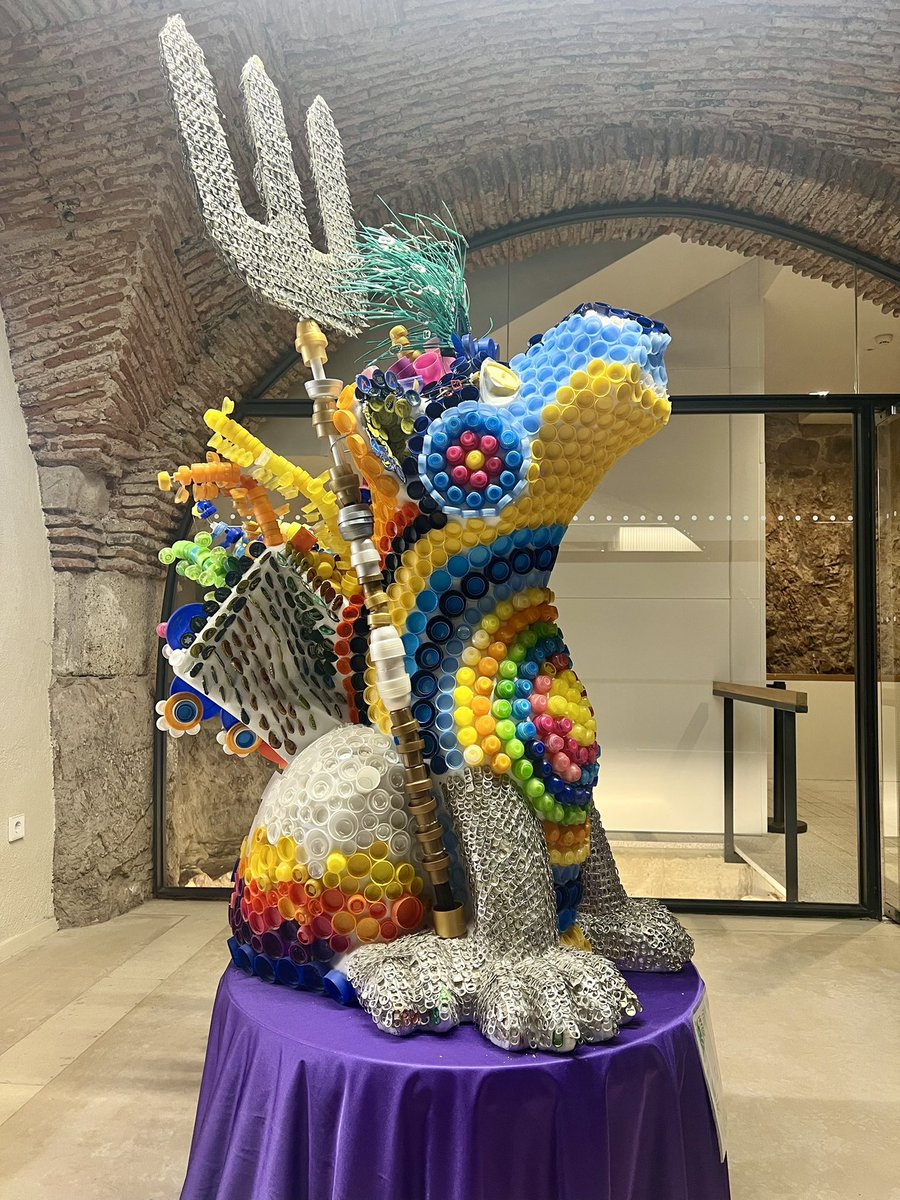 Museo de Cáceres tweet media
