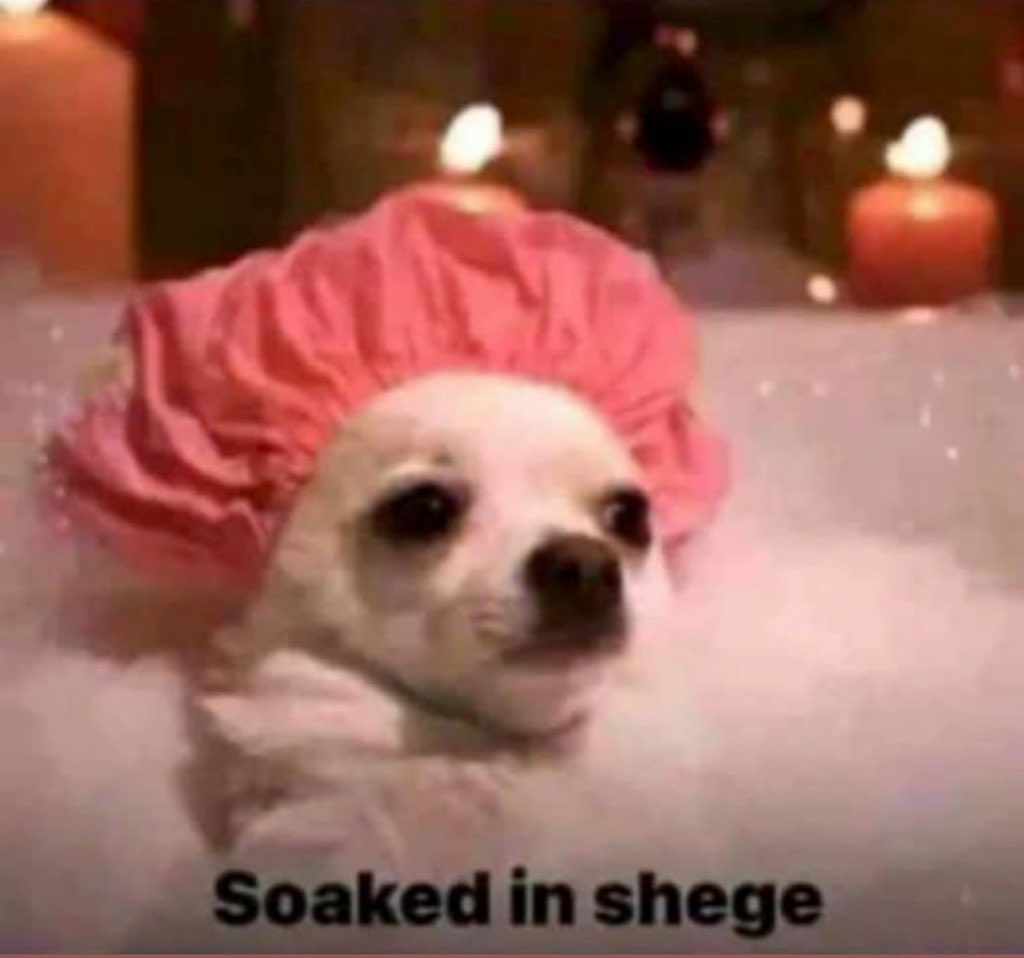 🌱Adel. (Ø) tweet media