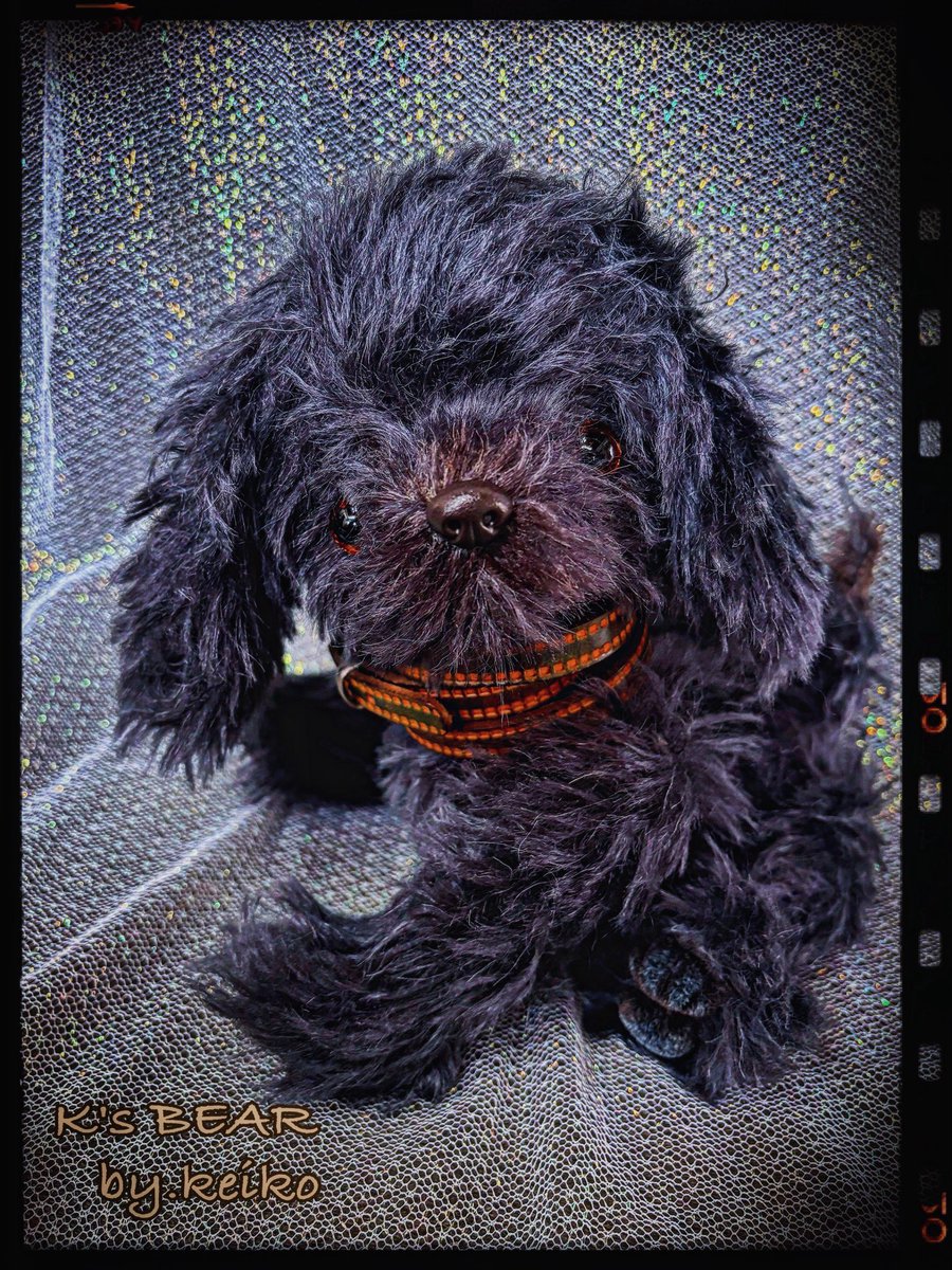 ＊わんこ＊
約34cm。手足とお顔が動かせるので色んなポーズで甘えてきます❤︎是非抱っこしてあげて下さいね。
FANTANIMA! 東京展 
4/30(木)～5/5(火・祝)
丸の内オアゾ　
丸善・丸の内本店４F ギャラリー 
千代田区丸の内1-6-4 
＊初日は入場整理券が必要です
詳細は <a href="/fantanima/">FANTANIMA!</a> HPをご参照下さい