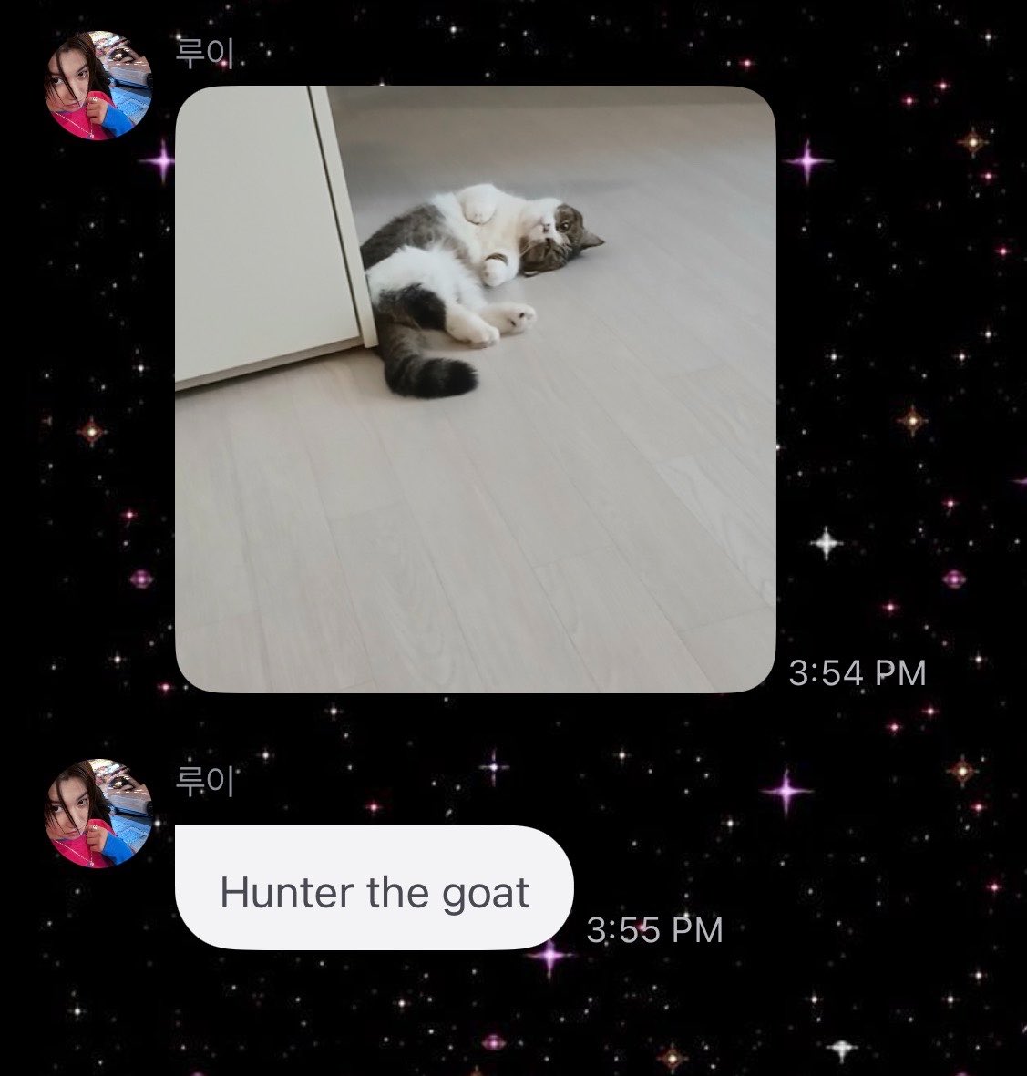 rylouette's tweet image. 260424 🐘💬 15:54 KST

🐘 : (pic)
🐘 : Hunter the goat

#LOUIS #루이