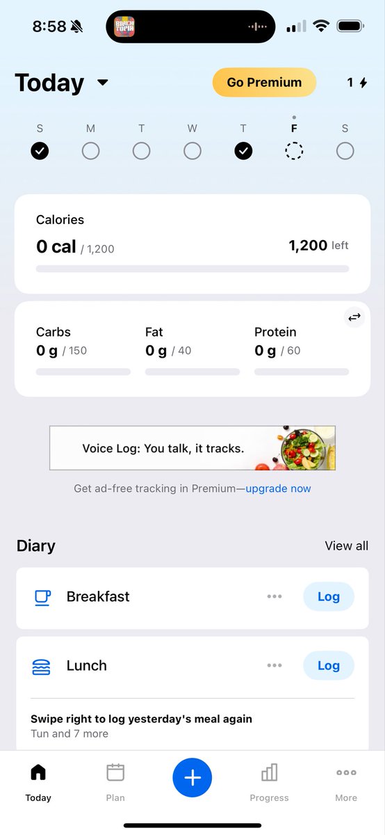 ivy anastasia tweet media