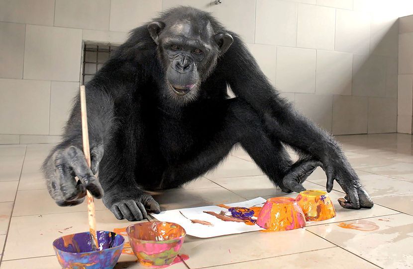 elmanifiestocom's tweet image. Desde que Marcel Duchamp convirtió un urinario en “arte”, algo se rompió.

Hoy la fealdad se exhibe como belleza oficial.

¿Y si no es arte lo que ha evolucionado… sino lo que hemos dejado de exigir?

elmanifiesto.com/eso-que-llaman…
#Arte #Cultura