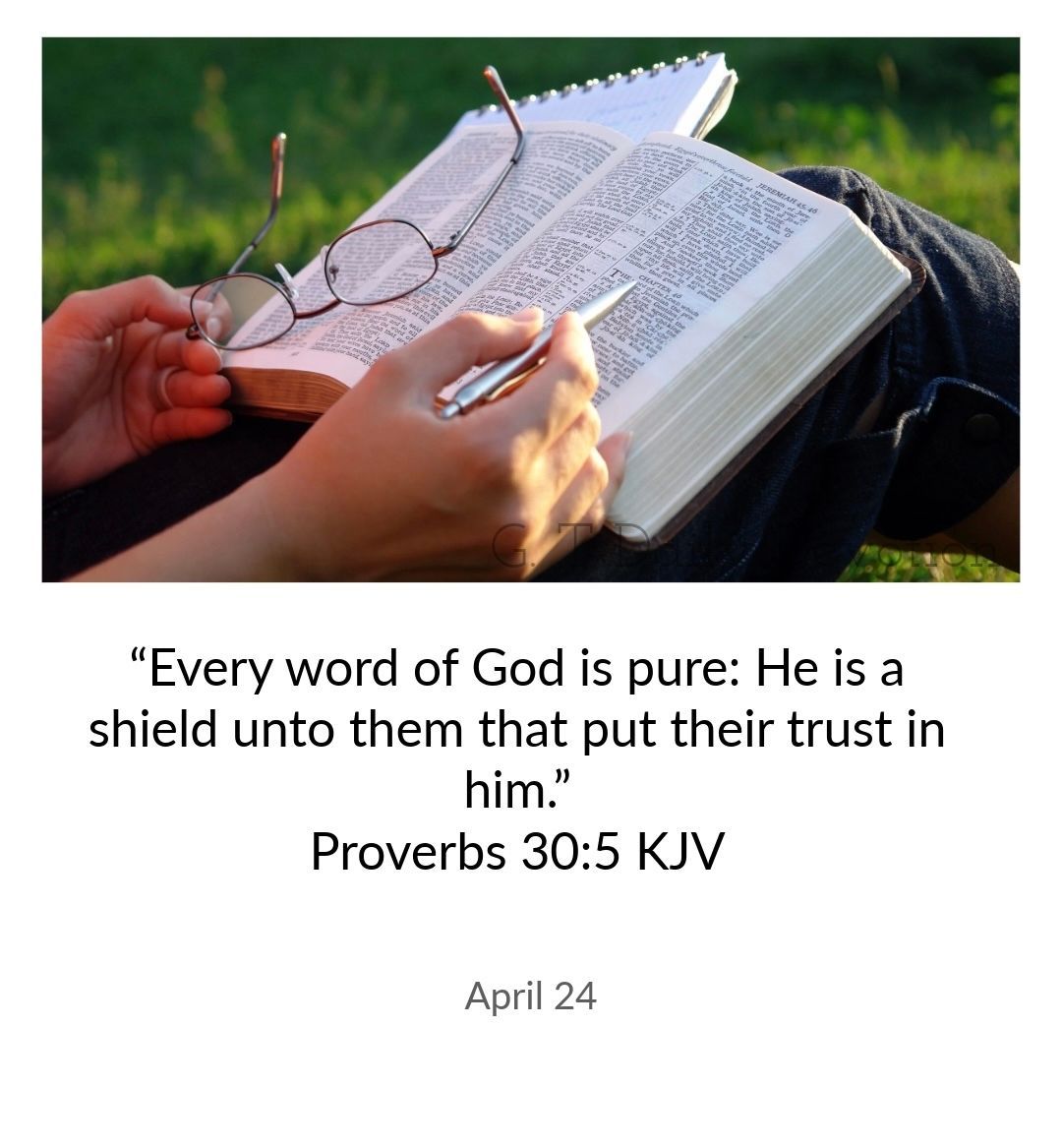 Grivelin (@geetanzarella) on Twitter photo 