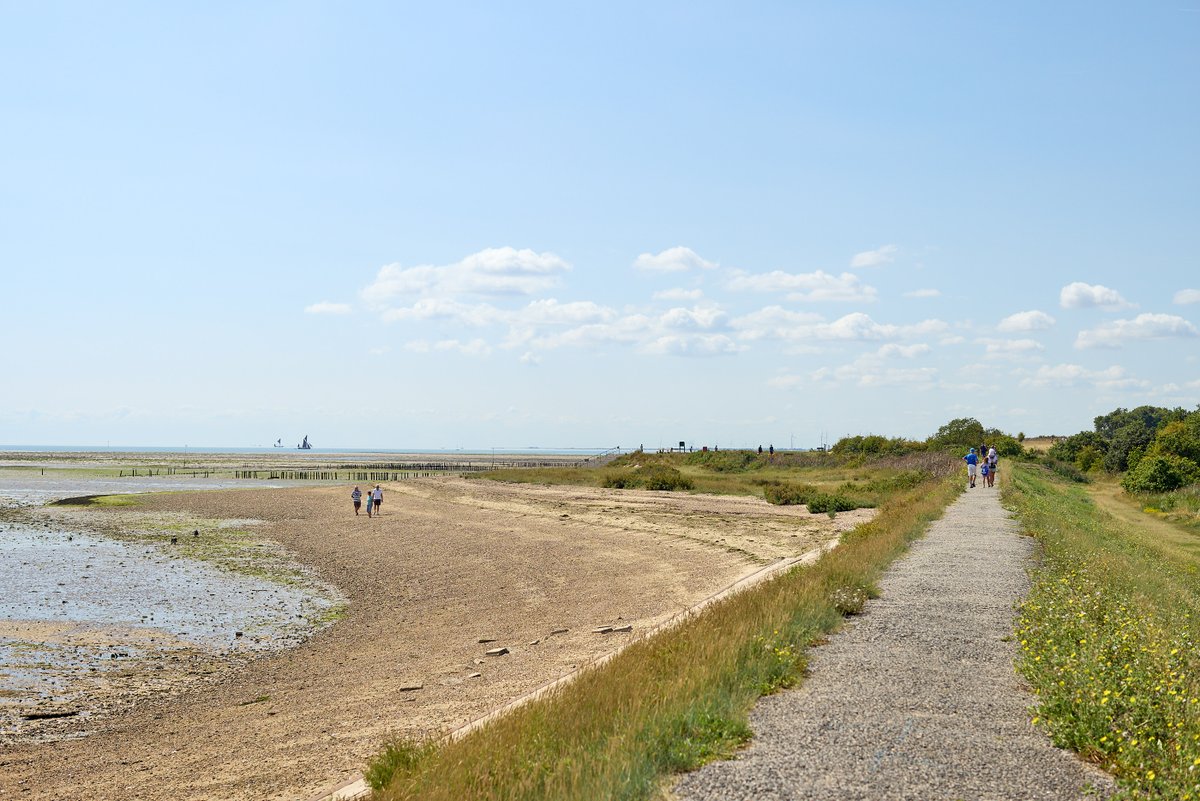 ExploreEssex's tweet image. The #LondonMarathon is just around the corner - a reminder that now is a great time to get into running!

Regular #parkrun events take place at many of the #EssexCountryParks.

So why not lace up your trainers and give it a go this weekend: explore-essex.com/places-to-go/g…