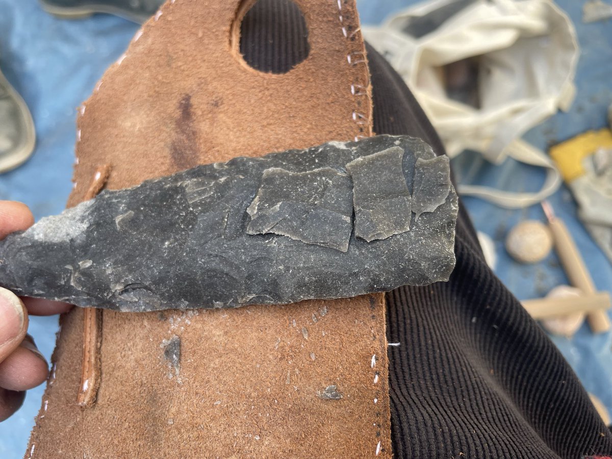 nassim_zej's tweet photo. #flintfriday Exp experimental course QP7 at MNHN https://t.co/qPTFeaQceA