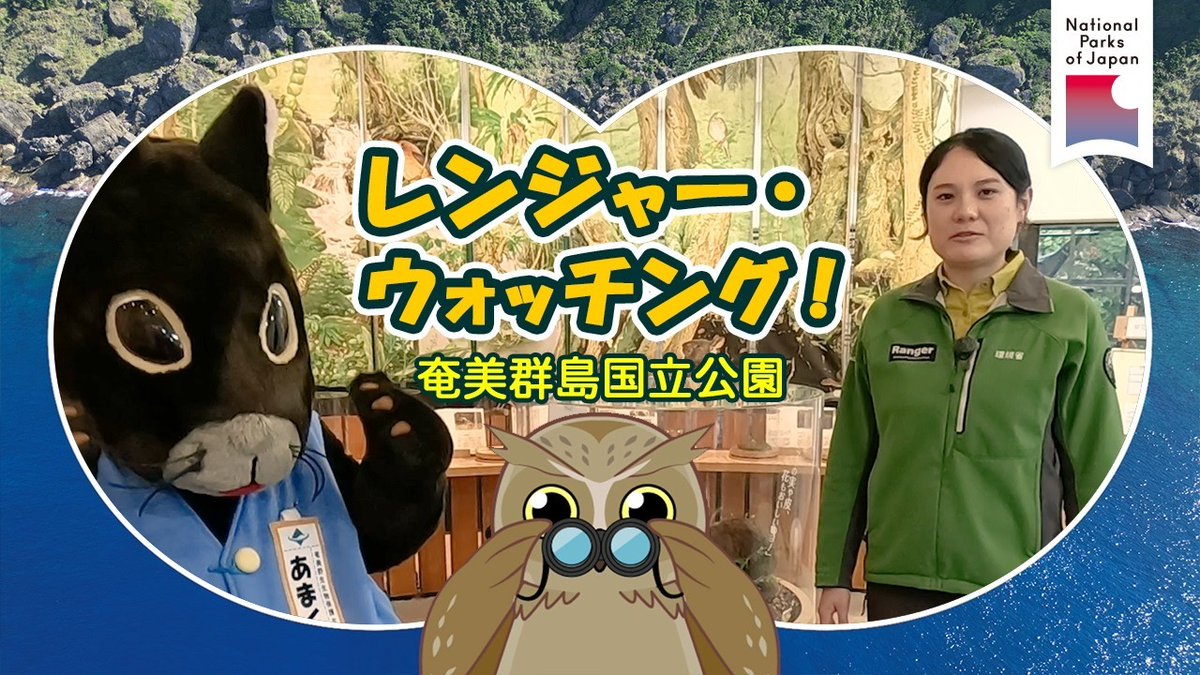 chiyodaraft's tweet photo. 2026年4月から、環境省 日本の国立公園YouTubeチャンネルで公開が始まった動画シリーズ「レンジャー・ウォッチング」。現在、小笠原、奄美群島、足摺宇和海が公開中！シリーズ「声と旅する国立公園」も制作担当しました。是非、ご視聴下さい。担当は田坂Pです！ https://t.co/wGfH3tCh1n