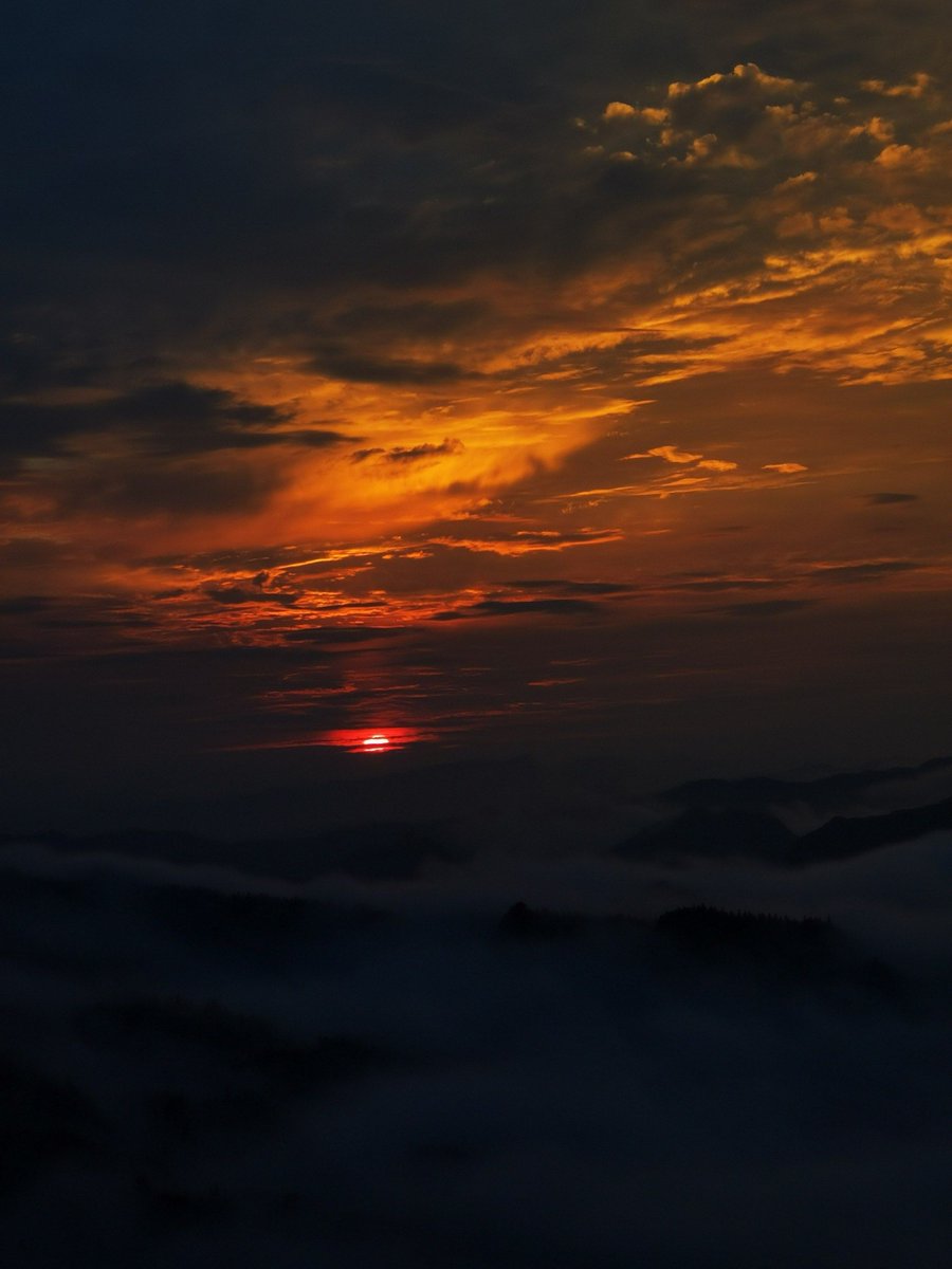 Jason M. Pellegrin tweet media