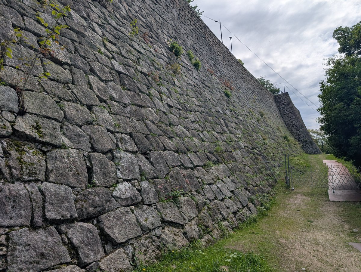 ヤッシー tweet media