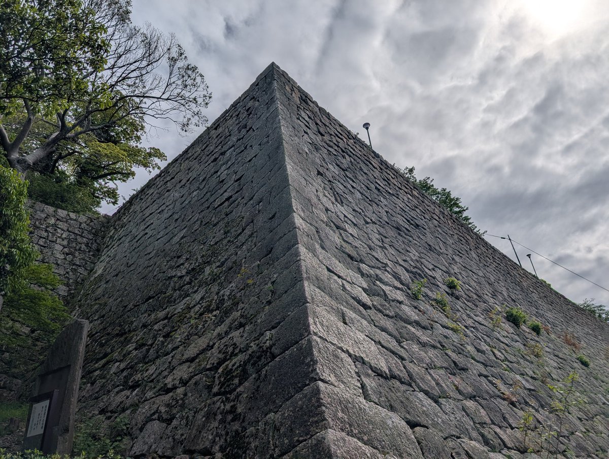 ヤッシー tweet media