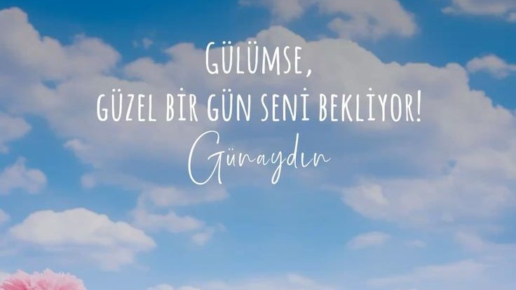 ÇİSEM's tweet media