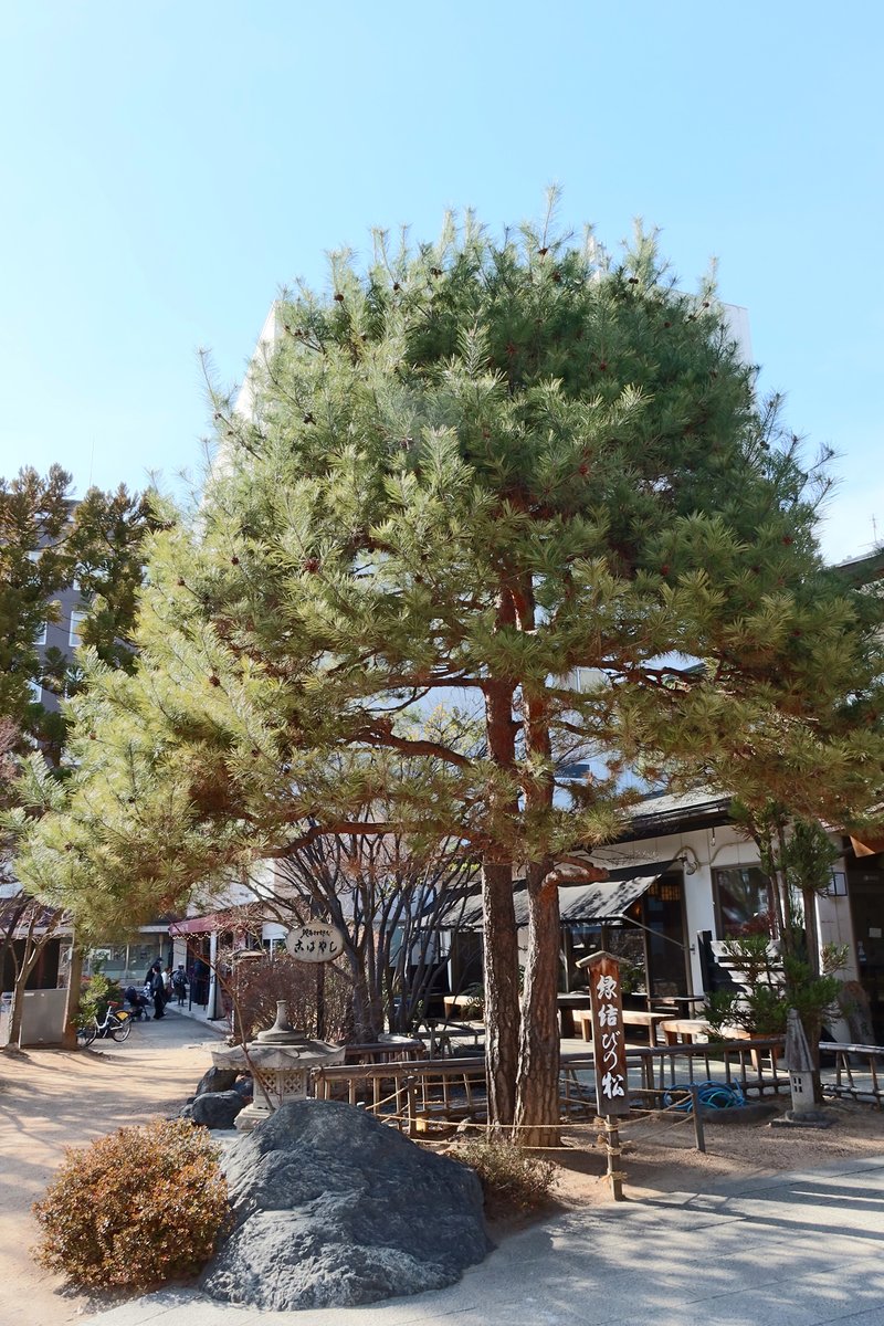 かむかむ tweet media